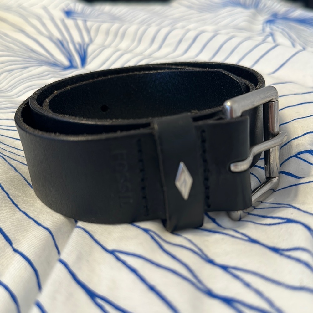 Fossil Belt